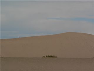 Sand Dunes