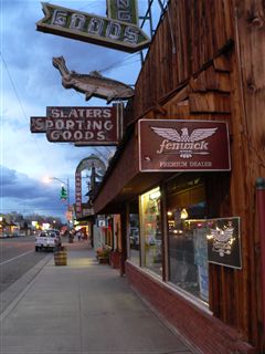 Lone pine