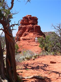 Boynton Canyon